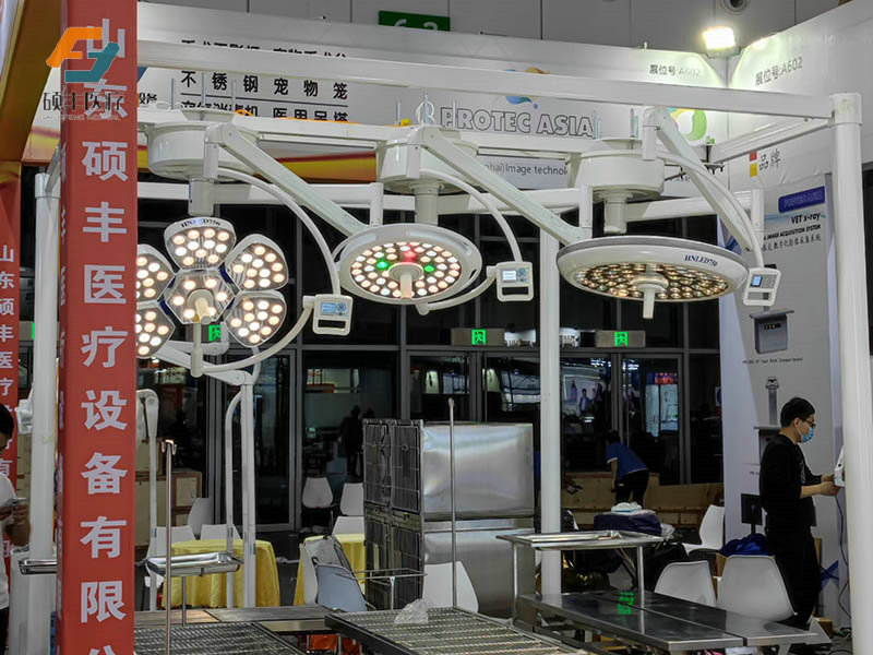 红桃视频免费观看