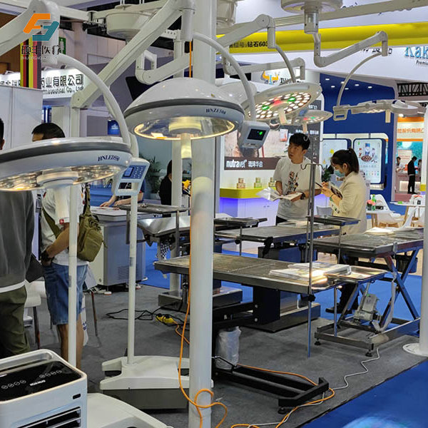 红桃视频免费观看