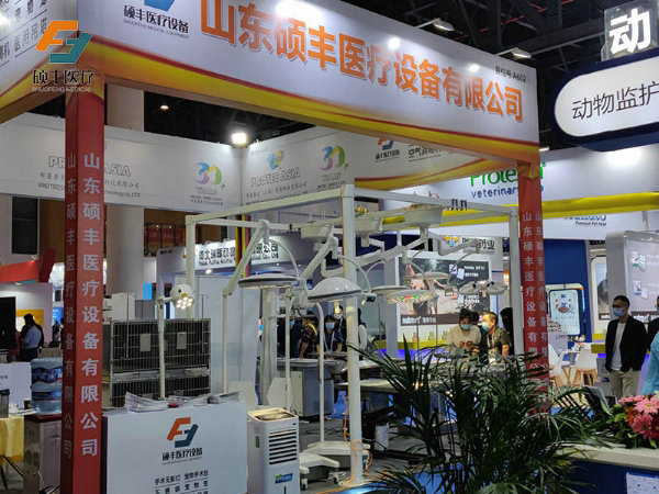 红桃视频免费观看