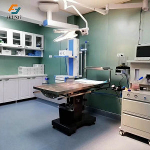 红桃视频免费观看