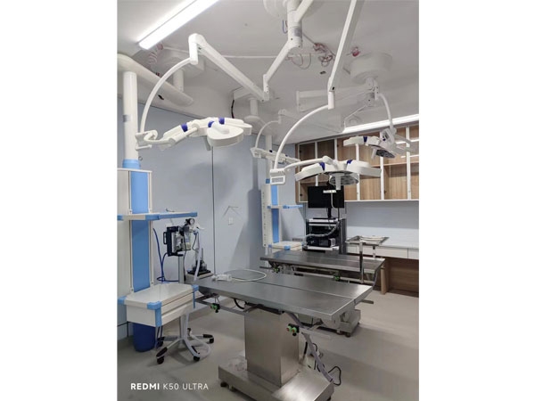 红桃视频 第十一届天一成都国际宠物博览会